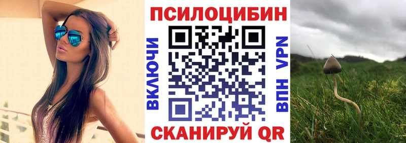Псилоцибиновые грибы Psilocybine cubensis  МЕГА tor  Шиханы 